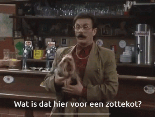 Wat is dat hier voor een zottekot?