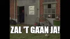 Boos, bal tegen raam
