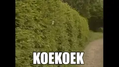 Oscar reageert
