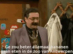 Ge zou beter allemaal bananen gaan eten in de zoo van Antwerpen