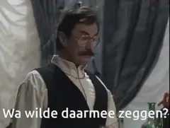 Wa wilde daarmee zeggen?