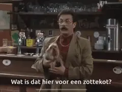 Wat is dat hier voor een zottekot?