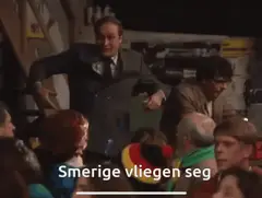 Smerige vliegen zeg