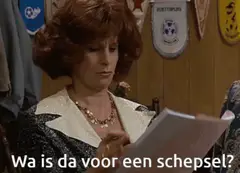 Wa is da voor een schepsel