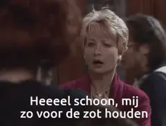 Heel schoon mij zo voor de zot houden