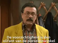 De voorzichtigheid is den olifant van de porseleinwinkel