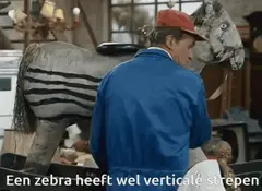 Een zebra heeft wel verticale streifen